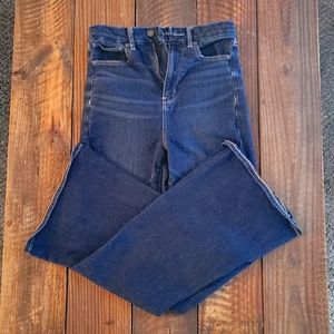 American Eagle Curvy Highest Rise Flare